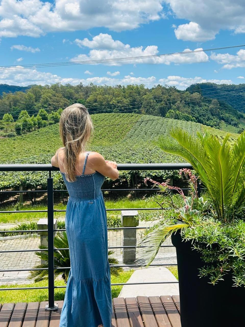 Vista Vigneti Albergo & Vino - Vale Dos Vinhedos Bento Goncalves Bagian luar foto